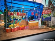 _DSF9638 (Copy)